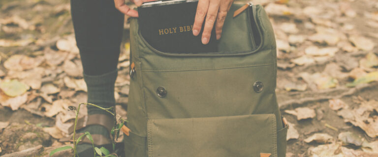 운동에서 외부인의 역할